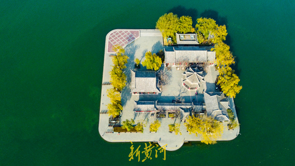 一年四季 泉在济南丨泉畔开启冬日黄金季 百棵垂柳镶金边