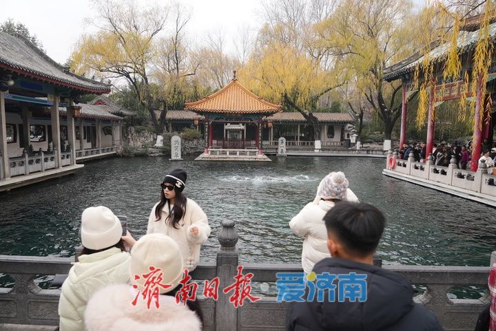 一年四季 泉在济南丨雨润泉城 趵突泉景色如画引客来