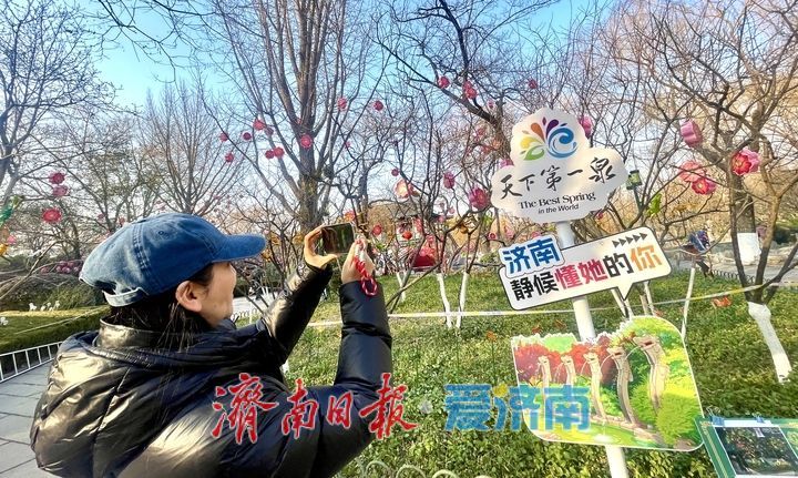 五龙潭公园张灯结彩迎岁末