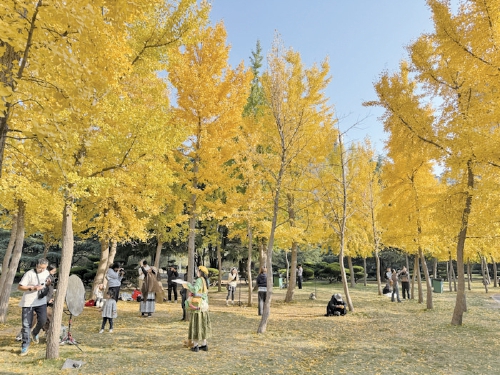 在济南坐着地铁能直达哪些公园？攻略来啦！