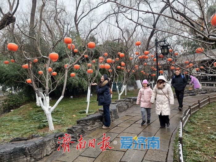 一年四季 泉在济南丨趵突泉畔花灯初绽,泉城年味渐浓