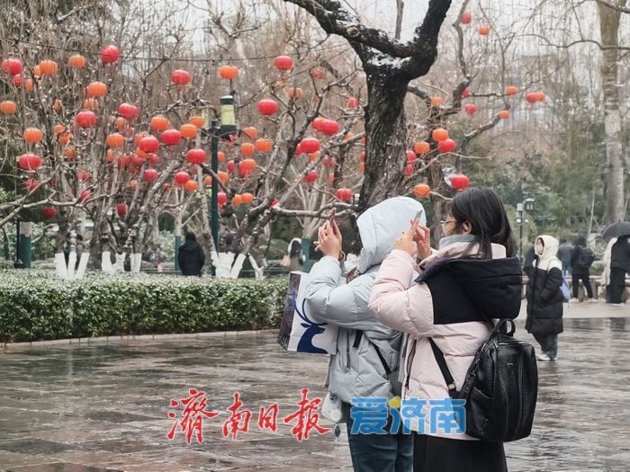 一年四季 泉在济南丨趵突泉畔花灯初绽,泉城年味渐浓
