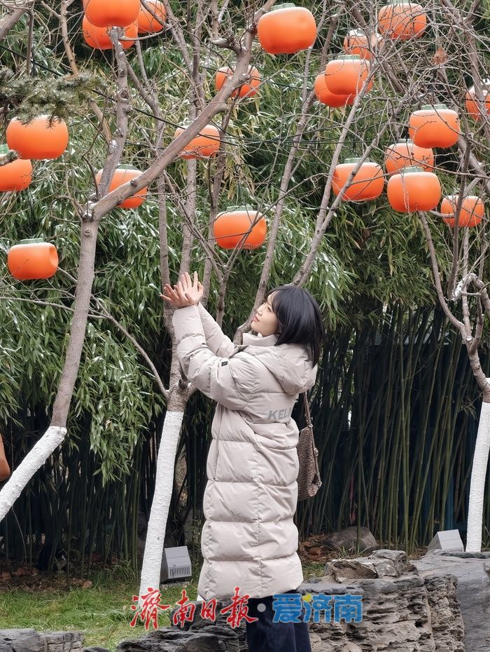 一年四季 泉在济南丨趵突泉畔花灯初绽,泉城年味渐浓