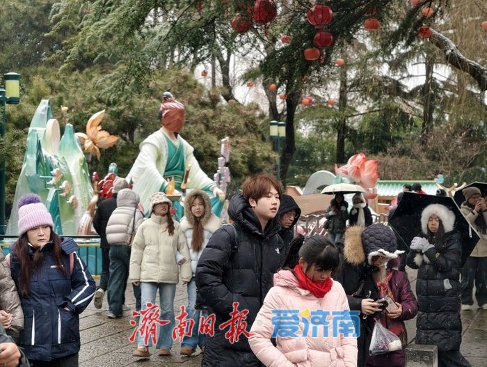 一年四季 泉在济南丨趵突泉畔花灯初绽,泉城年味渐浓