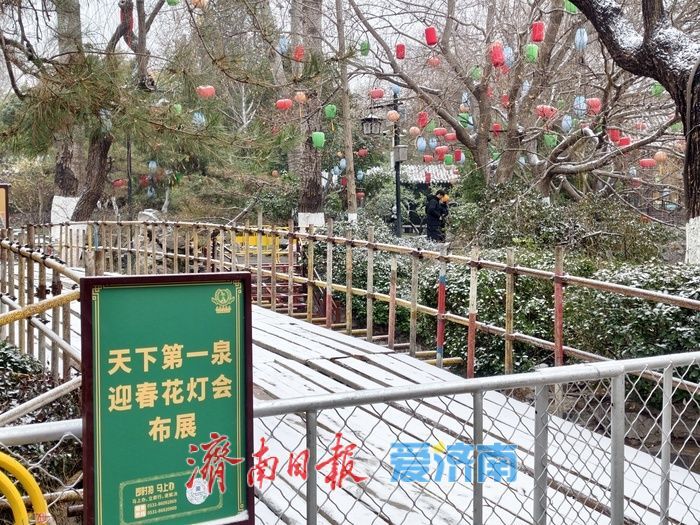 一年四季 泉在济南丨趵突泉畔花灯初绽,泉城年味渐浓