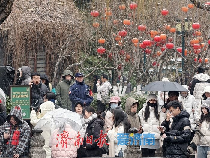 一年四季 泉在济南丨趵突泉畔花灯初绽,泉城年味渐浓