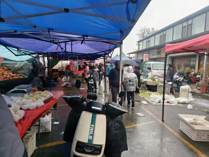 记者探访：雪落泉城菜市暖，蔬菜供应充足价格平稳