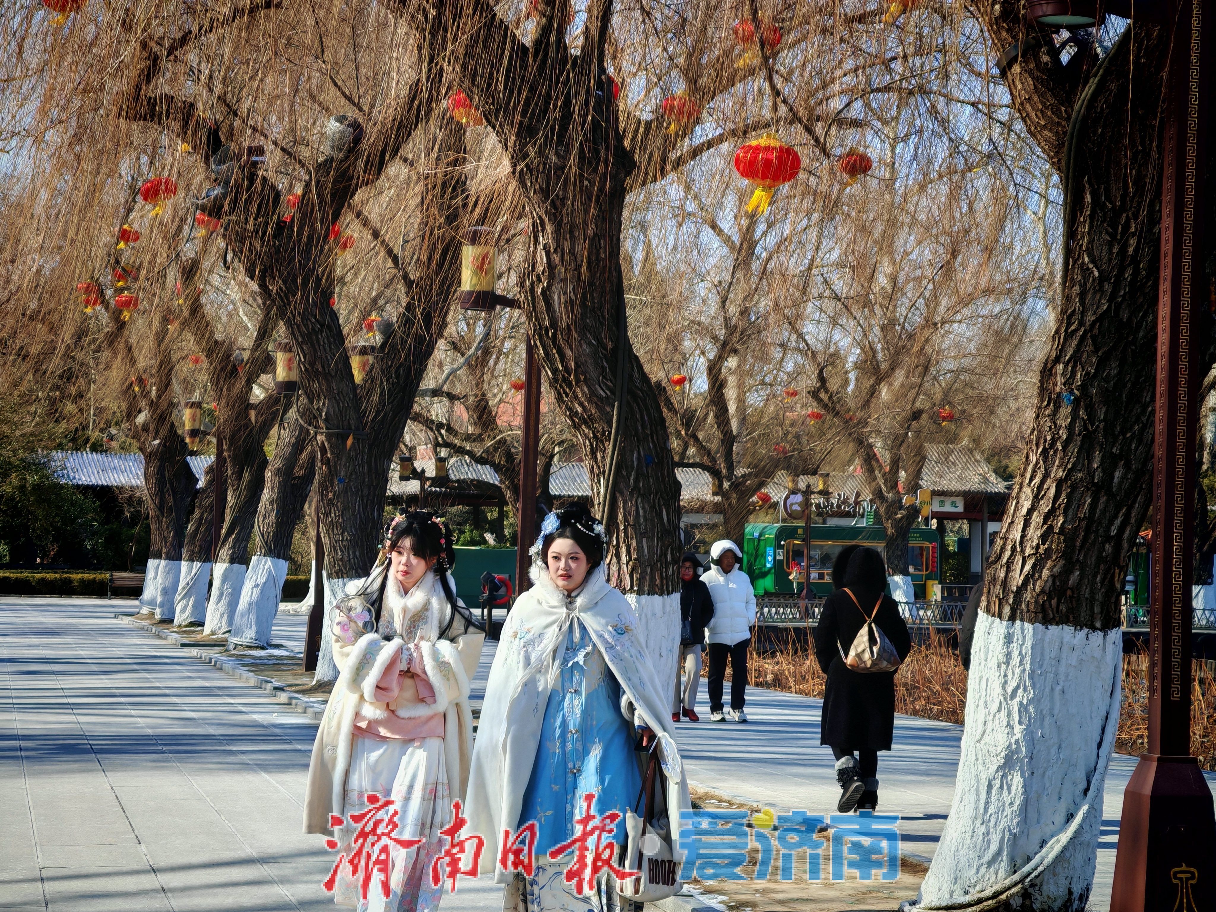 一年四季 泉在济南丨大明湖畔灯笼红 泉城迎春氛围渐浓