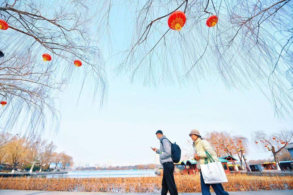 大红灯笼高高挂，济南大明湖畔春节氛围拉满