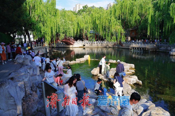 水清岸绿景如画 初夏护城河绘就生态画卷