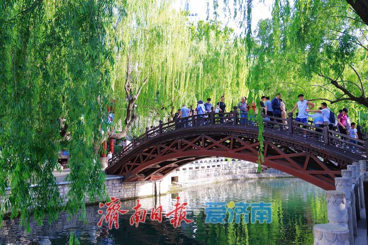 水清岸绿景如画 初夏护城河绘就生态画卷