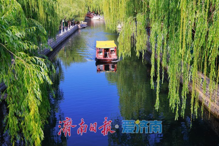 水清岸绿景如画 初夏护城河绘就生态画卷