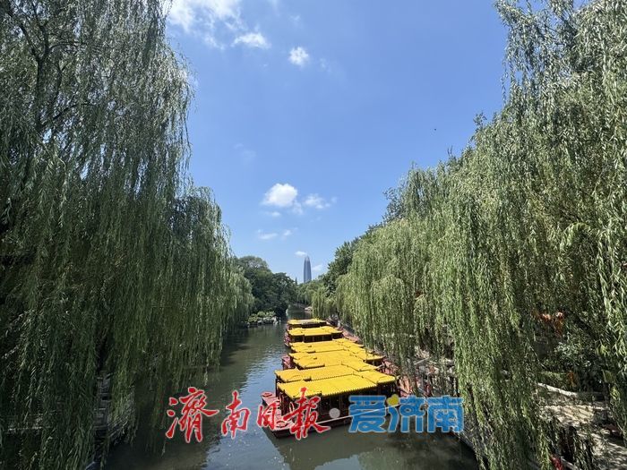 泛舟护城河畔 尽赏泉城夏日美景