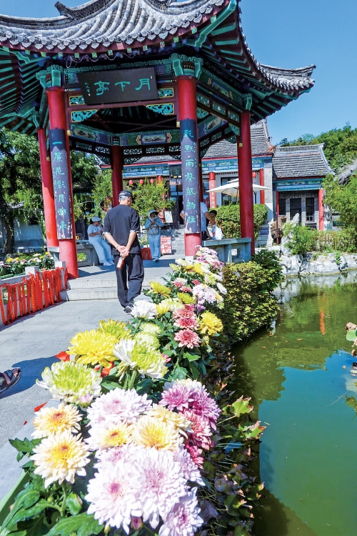 济南大明湖月下亭金秋菊花展启幕