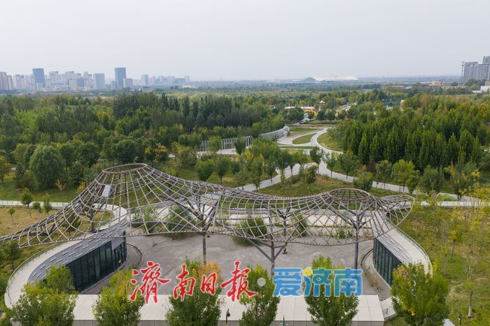 仲秋泉城绿意浓，济南中央森林公园铺展城市生态画卷