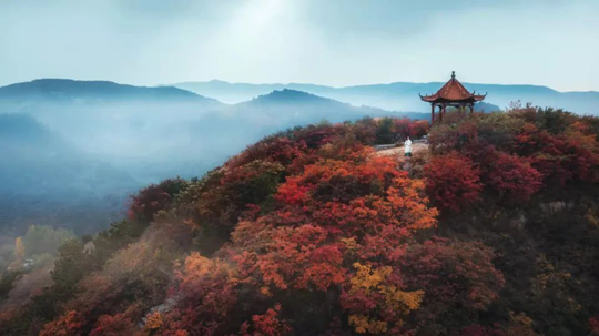 济南市章丘区红山翠谷景区:漫山红叶红满天