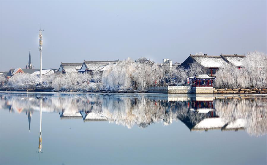 山东聊城:雾凇美景惹人醉