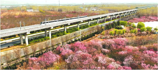 济南地铁1号线运营四年 从萌芽起步跑到满地繁花