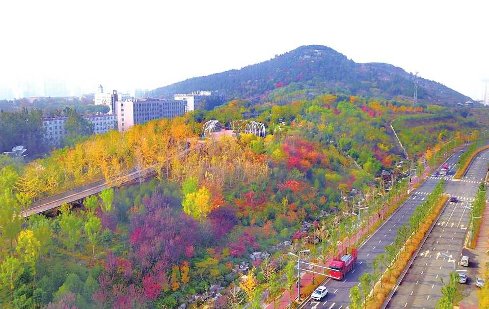 11月3日,俯瞰济南中央商务区的五顶茂岭山山体公园,山体东侧区域如同